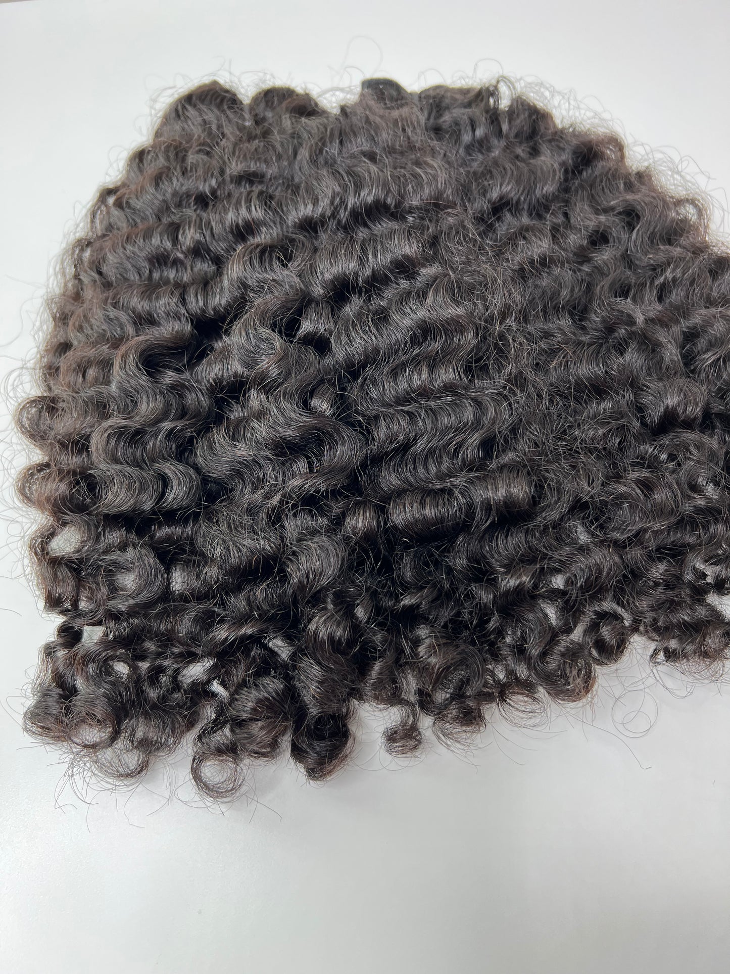 Burmese Curly
