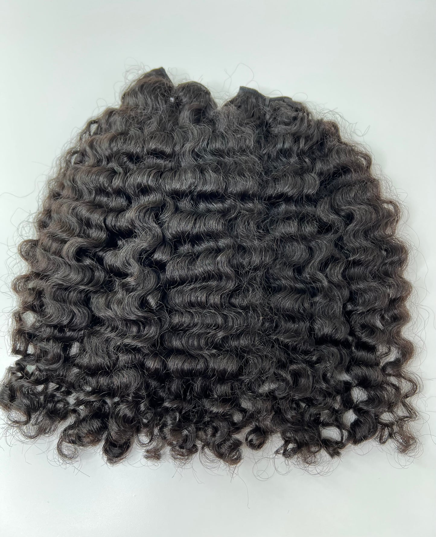 Burmese Curly