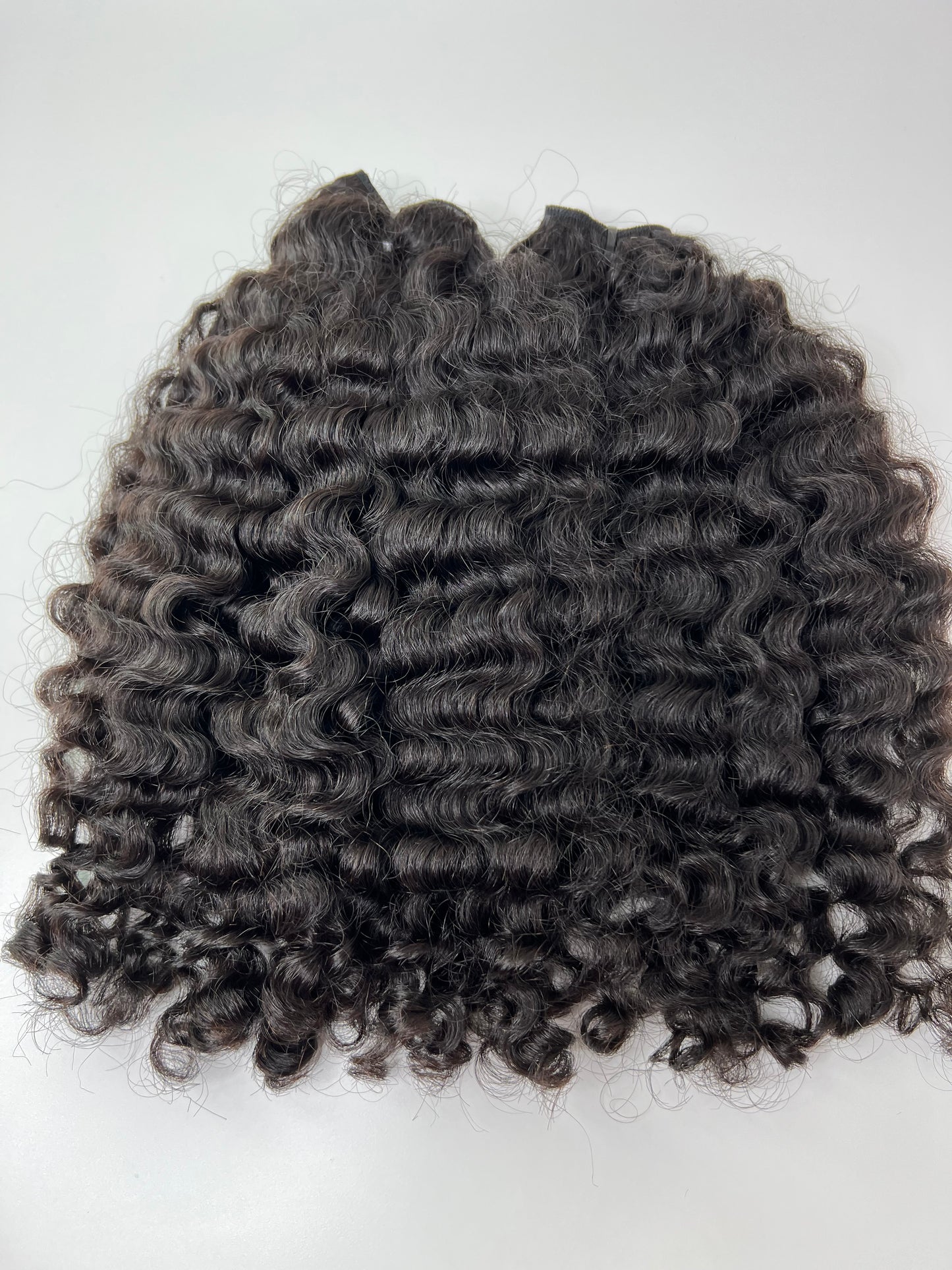 Burmese Curly