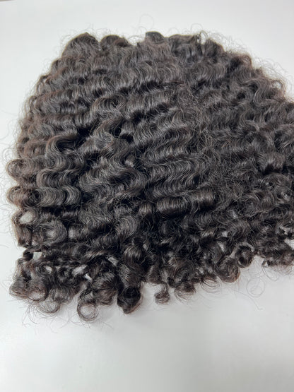 Burmese Curly