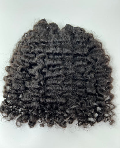 Burmese Curly